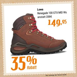 Lowa Renegade 100 GTX MID Ws