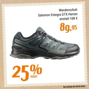 Wanderschuh Salomon Extegra GTX Herren