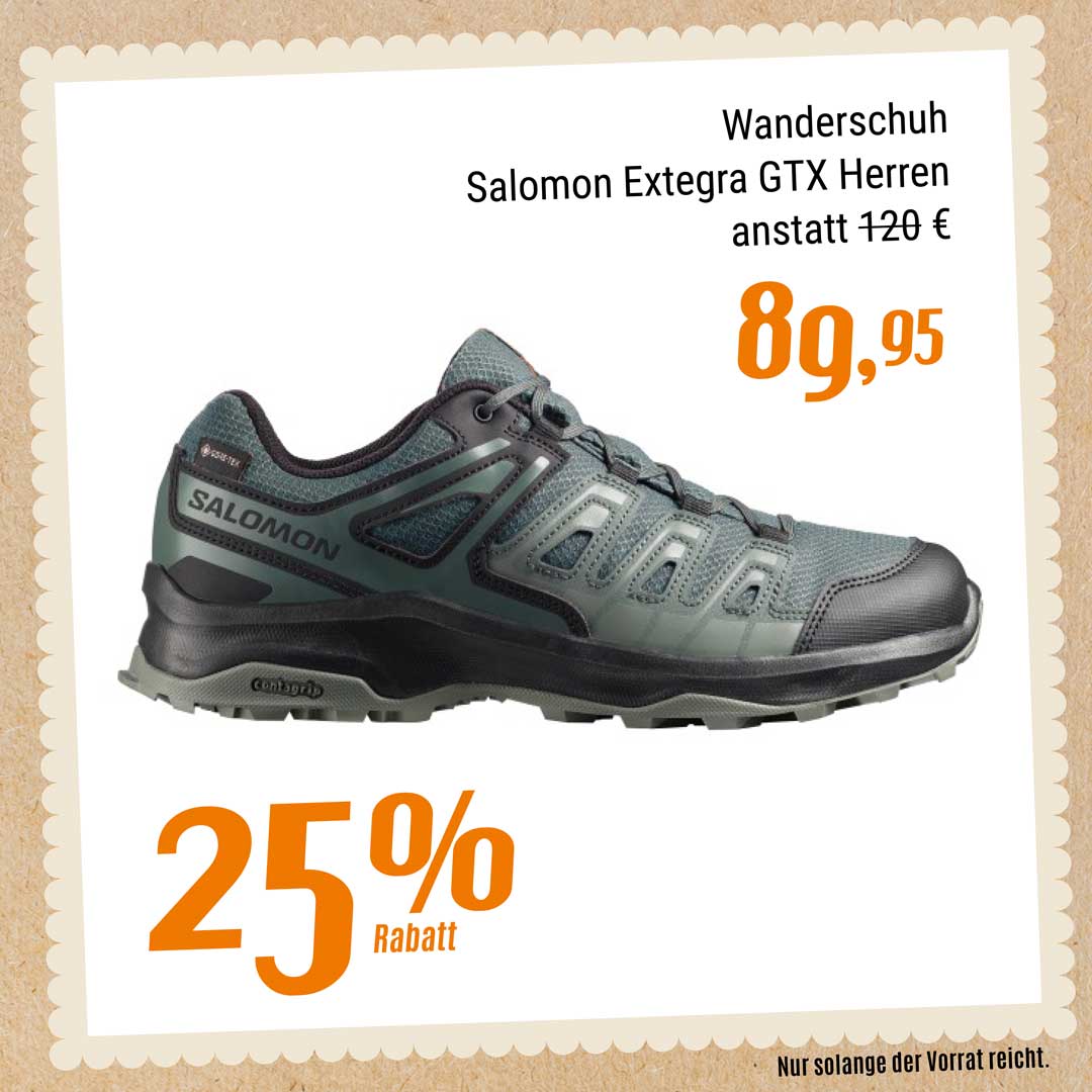 Wanderschuh Salomon Extegra GTX Herren